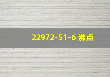 22972-51-6 沸点